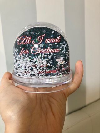 Globo Natale Louis Tomlinson One Direction