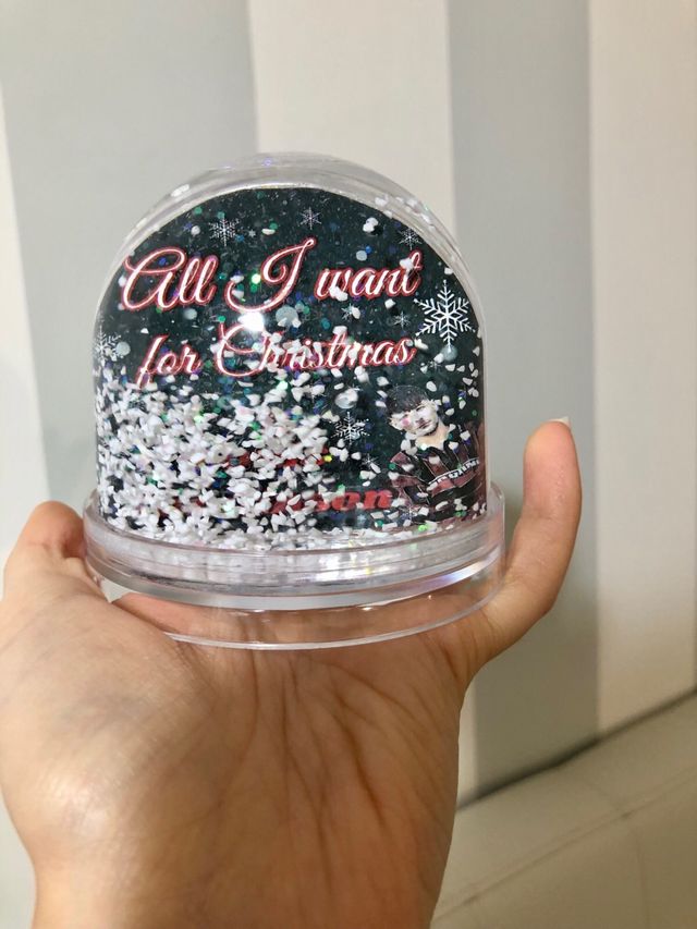 Globo Natale Louis Tomlinson One Direction