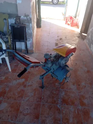 Motoazada Roto Verde