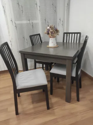 Mesa comedor+ sillas ( 4 extras)
