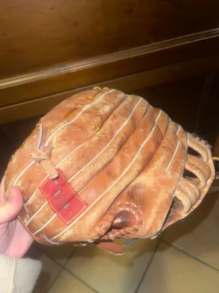 Guanto da baseball Dixon