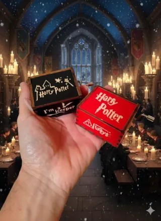 Set 2 Scatole Musicali Harry Potter