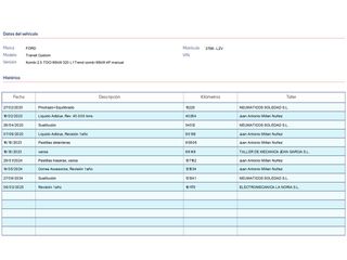 Ford Tourneo Custom 320 L1 Trend