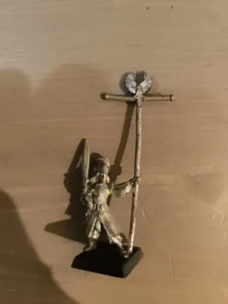 Alto Elfo Porta Estandarte Warhammer Fantasy