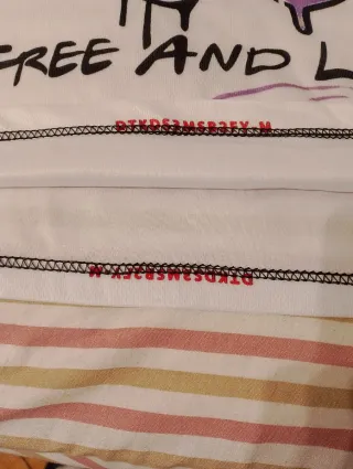 Camiseta vintage diseño Perfectionist