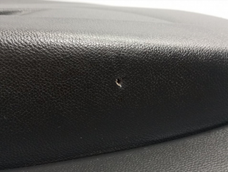 GUARNECIDO PUERTA DELANTERA IZQUIERDA RENAULT CAP