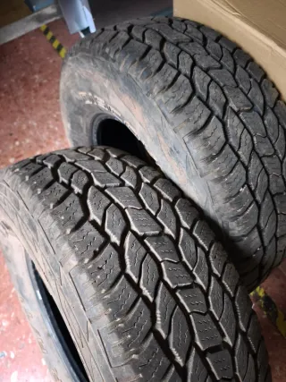 Neumáticos Cooper Discoverer AT3