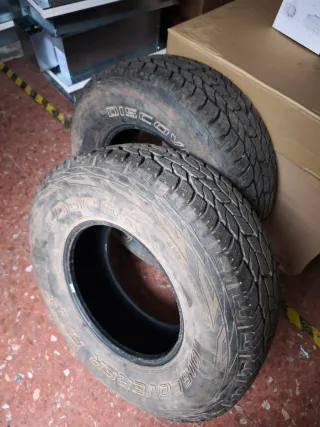 Neumáticos Cooper Discoverer AT3