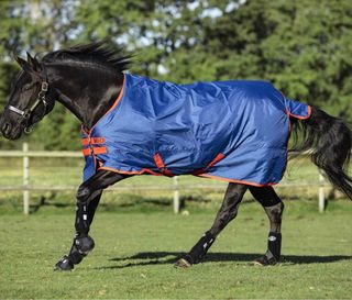 Coperta da paddock 200 gr tg. 130 cm