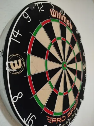 Diana de corcho Winmau pro sfb