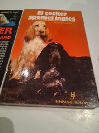 El Cocker Spaniel Ingles