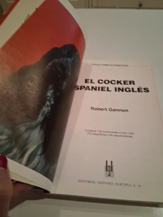 El Cocker Spaniel Ingles