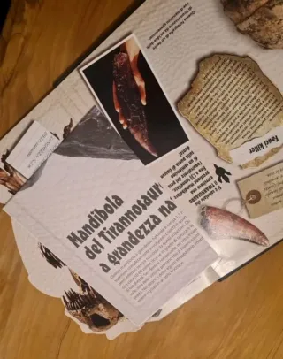 Il Mondo Dei Dinosauri - libro per bambini