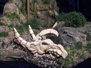 Ziterdes / Thomarillon - Dragon Bones