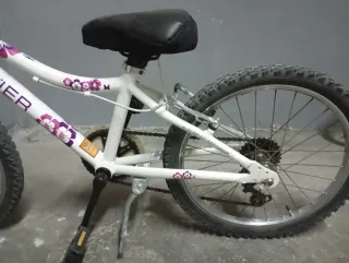 Bicicleta infantil morada