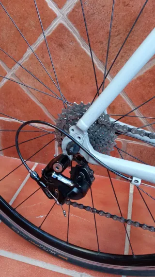 Bicicleta Ridley Tempo Carretera