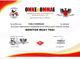 Entrenador Muay Thai - k1 - Kick boxing