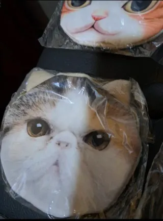 9 borsellini portamonete a forma di gatto diversi