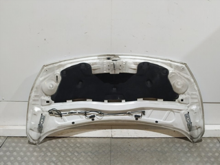 CAPO FORD TRANSIT CONNECT (CHC) TZGA S / R