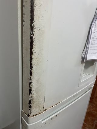 Nevera blanca Samsung