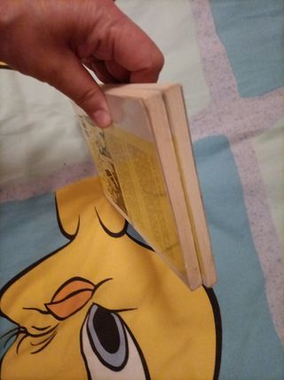 Libros Veva, Carmen Kurtz