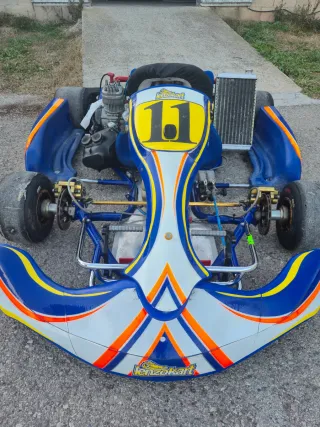 Kart IAME 125cc