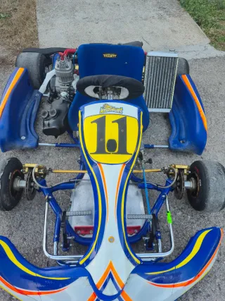 Kart IAME 125cc