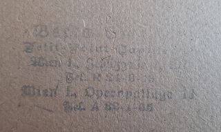 Schema per ricamo vintage, inizio '900