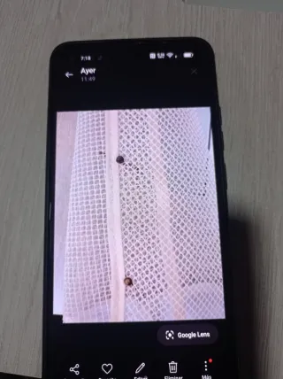 Gorro peritente blanco