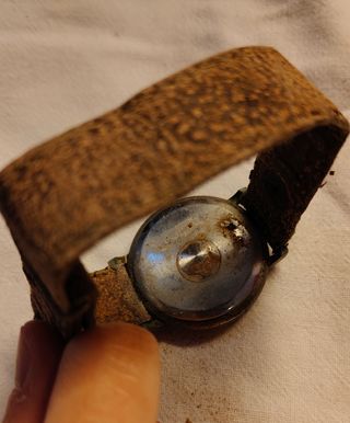 Orologio da polso vintage Sector.