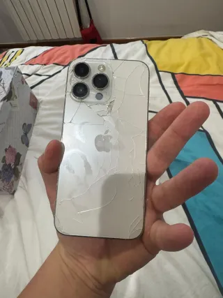 iPhone 14 Pro Max Argento 256GB