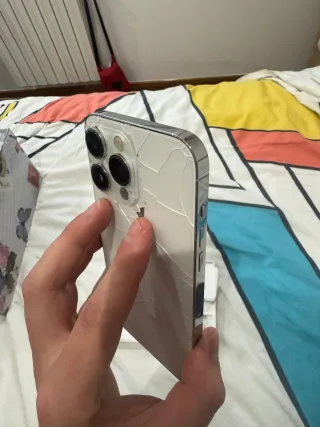 iPhone 14 Pro Max Argento 256GB