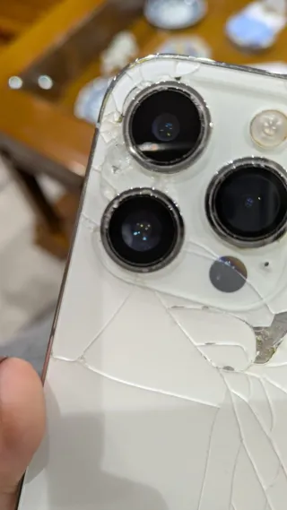 iPhone 14 Pro Max Argento 256GB