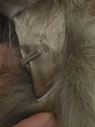 Gilet Phard pelliccia