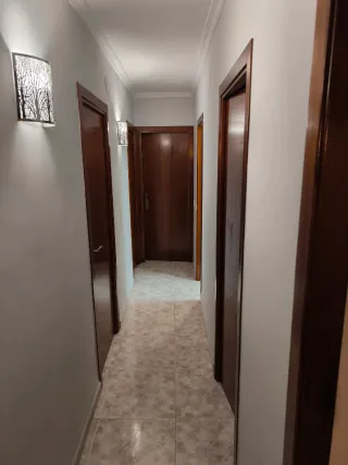 Puertas interior color roble *un regalo*