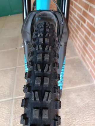 Bicicleta eléctrica Focus Bold² 29