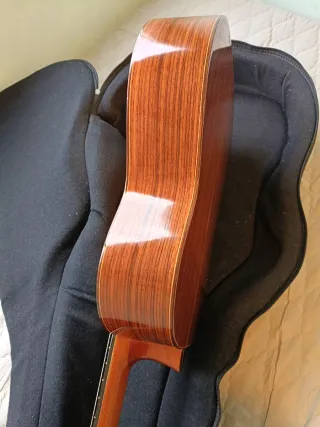 Guitarra Almansa 434