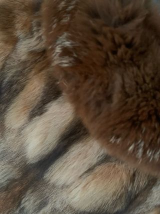 Abrigo Piel Zorro Natural Talla M