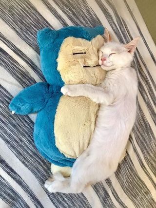 Pack 3 cartas - Para KX