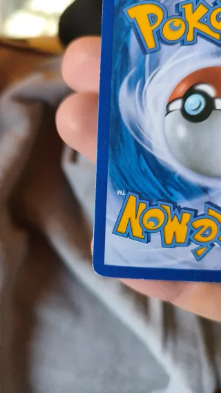 Carta Pokémon Charizard Lv. X