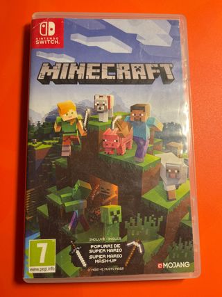 Minecraft Nintendo Switch