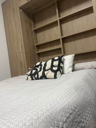 Cama Abatible con Armario y Estanterías
