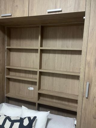 Cama Abatible con Armario y Estanterías