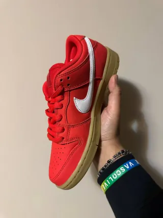 Nike Dunk SB Rosse Gum