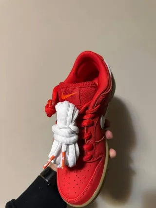 Nike Dunk SB Rosse Gum