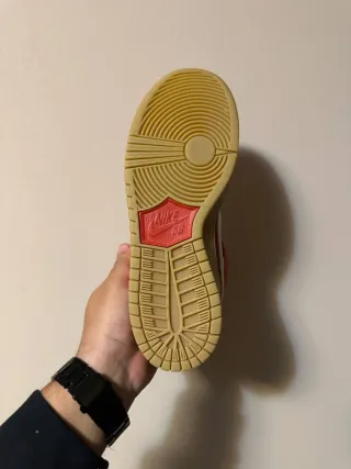 Nike Dunk SB Rosse Gum