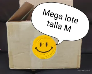 Lote sorpresa Ropa Mujer Talla M