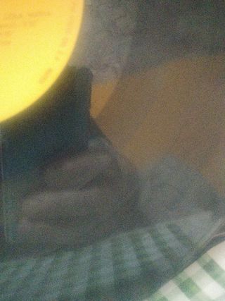 Vinilo zingaro voz de luna