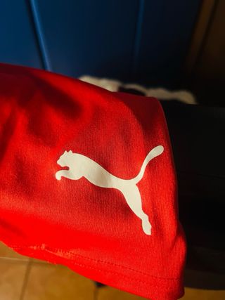 Pantaloncini Puma Rossi Uomo