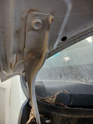 BISAGRA CAPO DERECHA KIA CARENS (RP)